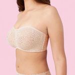 Wacoal  Women's Halo Lace Strapless Bra 854205 Size 34DDD Photo 13