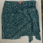 Show Me Your Mumu Mini Skirt Photo 0