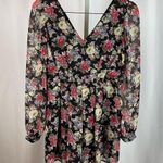 B_Envied Large Rose Floral V Neck Sheer Sleeve Mini Skirt Formal Pleat Flowy Photo 0