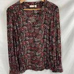 Hinge  Paisley Pattern Long Sleeve V Neck Blouse size XL Photo 0