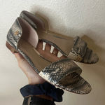 Tory Burch  Savannah Flat Sandals Snakeskin Open Toe Womens 7 Photo 0