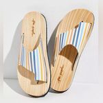 Free People NEW  Woodlands Platform Clog Sandals / Stripe Size 36 Photo 0