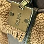 Rose Robert’s Quail Photo 9