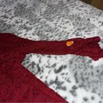 Rabbit Rabbit Rabbit Designs Lace Dress Size 8 Photo 4