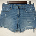 Aerie  Blue‎ Jean Shorts Distressed Cut-Off Style Photo 0