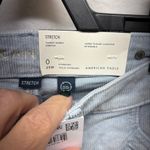 American Eagle Light Blue Corduroy Pants Photo 3