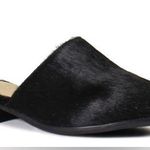 Diba True  High Up Mule ponyhair in black size 8.5 Photo 0