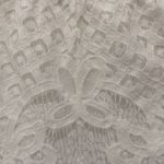 Free People White lace  shorts! Photo 6