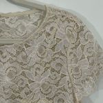 NWT Marina Taupe Lace‎ Metallic Shimmer Illusion A Photo 6