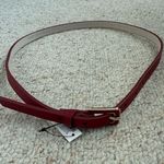 White House | Black Market Belt  Photo 0