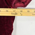 Talbots  Dress 6 Red Velvet Burnout Midi Vintage Whimsigoth Holiday‎ Romantic 90s Photo 7