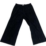 Madewell Women's Black Sheer Pleated Wide-Leg Pants Size S Photo 1