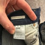 James Jeans  high class skinny ankle jeans size 26 in Maverick Photo 3