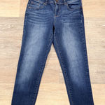 1822 Denim  Size 4 Dark Wash Jeans Photo 0