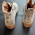 Ccocci  Snakeskin Ankle Booties in Black and Cream Photo 4