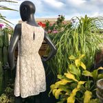 BCBGMAXAZRIA  lace skater dress Photo 1