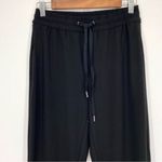 Joie  Black Drawstring Relaxed Fit Jogger Pants Photo 2