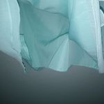 David's Bridal 16 Spa Strapless Crinkle Chiffon Formal Dress Plus in Fresh Aqua Photo 8