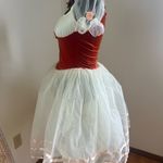 Small Tulle Costume Dress Photo 4