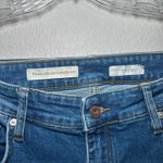 Anthropologie Pilcro Embroidered Distressed Jeans Women's 31 cottage feminine country boho Photo 4