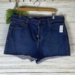 Gap NWT  Darkwash Buttonfly High Rise Cheeky Short Photo 0