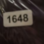 Agnes & Dora  women’s size medium, long sleeve dress Photo 4