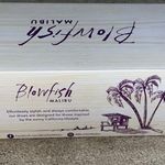 blowfish  Natural Pongo Cat Canvas Fray Distress Cheetah Tennis Shoes NEW Sz 8.5 Photo 9