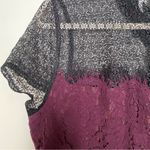 Elle Lace Mixed Media Illusion Fit & Flare Dress Sz 14 Dark Academia Photo 10