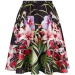 Ted Baker Hotley Tropics skirt Photo 1