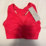 Sweaty Betty  Lipstick Red Sports Bra Photo 1