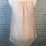 Sleeveless High Low Pink Sheer Sleeveless Collared Top with Dots & Lace Trim Photo 3
