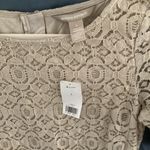 Banana Republic : Cream 3/4 length sleeve Knit Midi dress- cotton blend- size 4 Photo 2