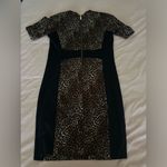 Michael Kors  Classy Leopard Cheetah Print Size Small Dress Photo 6