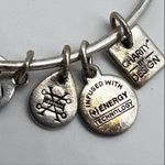 ALEX AND ANI  Dog Paw Prints of Love Bracelet -Silver Tone, Crystal Charm Photo 9