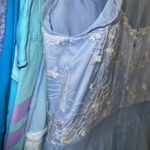 Disney  parks Cinderella cosplay embroidered dress shop dress XL Photo 6