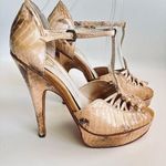 House of Harlow 1969 Laina Platform Pump Heels Natural Snakeskin Shoe Sz 7/eur37 Tan Photo 3