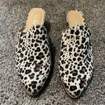 Chinese Laundry Leopard print mules Photo 0