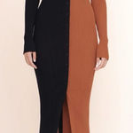 STAUD  Two-Tone Black and Brown Button-Up Dress Photo 0