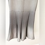 ZARA BWT Cream & Black Fishnet Fit & Flare Dress Size XS Photo 3