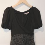 Rebecca Taylor sz 2 Cheetah Print Sheath Dress Photo 2