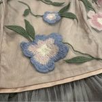 Sundance  Peony Tea embroidered dress size 6 Photo 11