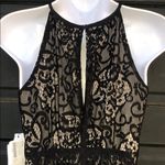 The Clothing Company The Clothing Co. Lace Dress Studded NWT‎ Photo 4