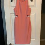 Elizabeth and James NWT Salmon Pink Tight Cut Our Dress Photo 0