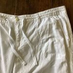 Gap  Flax/Cotton Blend Wide Pants Photo 4