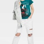 Mad Engine NWT Wang Zhenyi Astronomer Mathematician Poet Teal Tee T-Shirt New Rebel Girls Photo 2