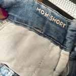 American Eagle  Mom Short size 16 Photo 2