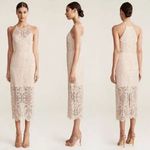 Shona joy  Lace High Neck Midi Dress Beige Nude Size 6 Lined Scalloped Hem Bridal Photo 11