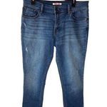 Johnny Was Women's Boyfriend Jeans Size 29 Blue Mid Rise Relaxed Fit Photo 0