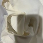 Elliatt  top small Photo 7