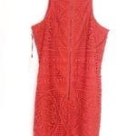 Lovers + Friends NWT caspian lace mini dress Photo 4